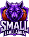 Small llallagua logo