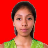 Wendy Fabiola Poma Rocha